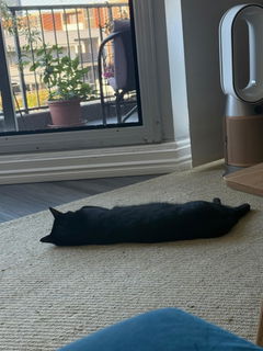 Review picture