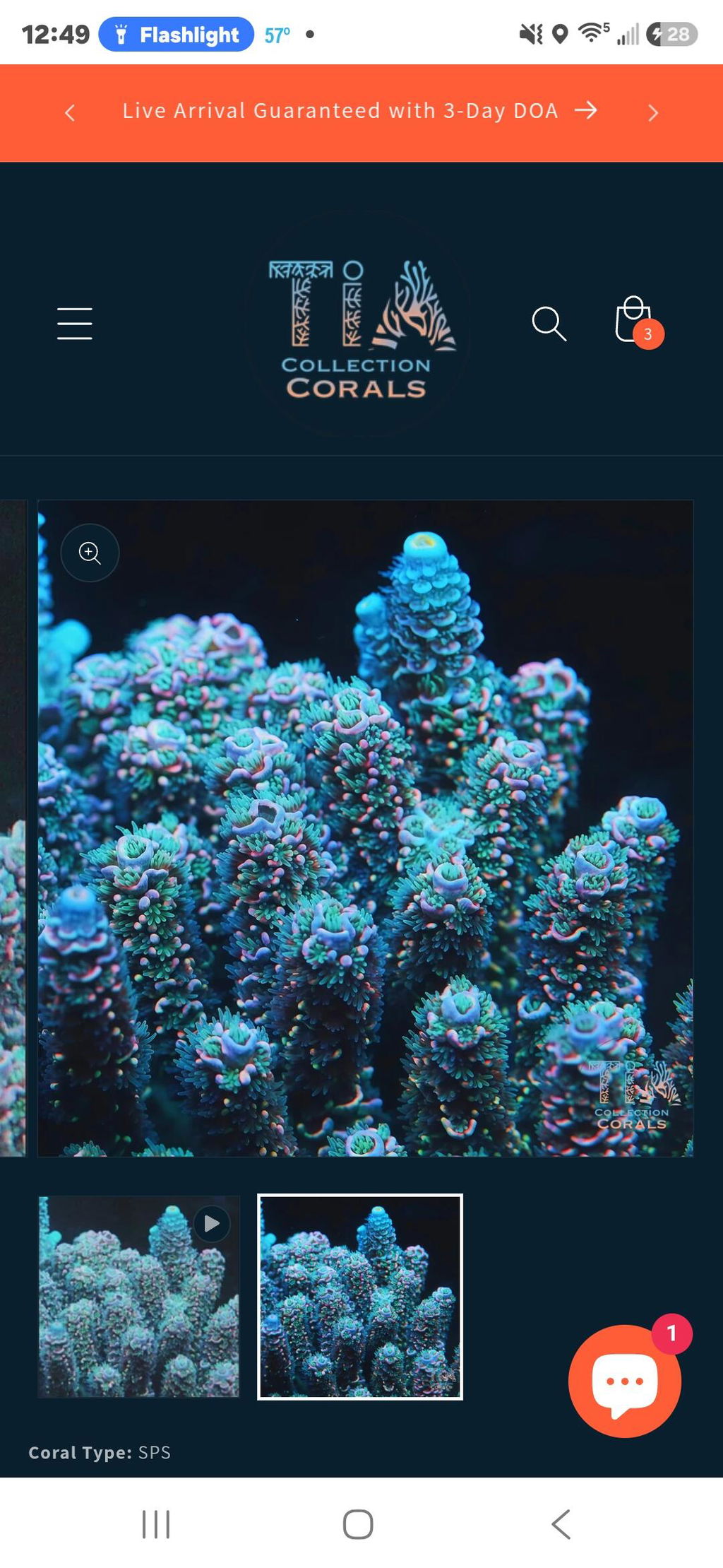 TIA Corals
