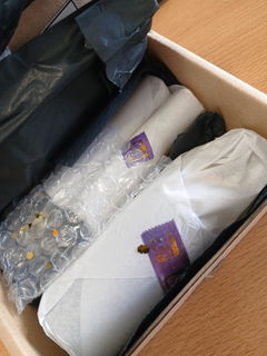 Review picture