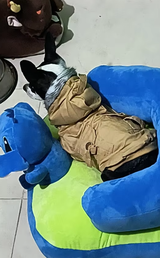 User picture