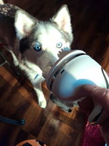 User picture