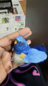 User picture