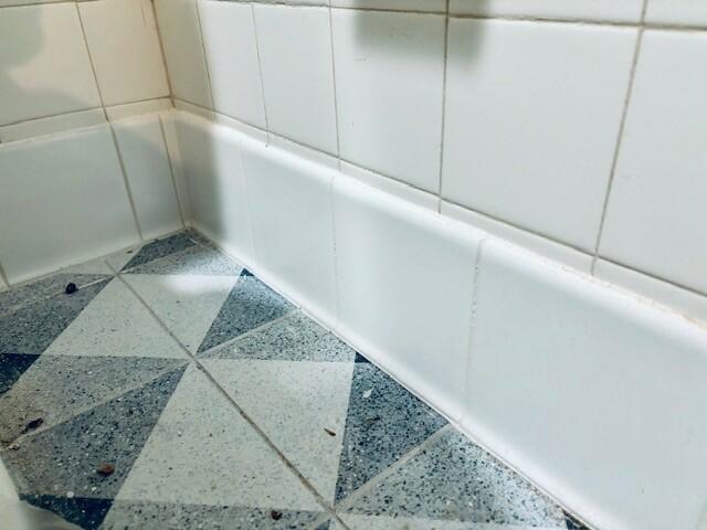 Sanitary Cove Base White 6X6 Matte Ceramic | Tilemart