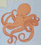Removable Wall Decals 