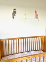 Removable Wall Decals