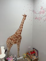 Removable Wall Decals