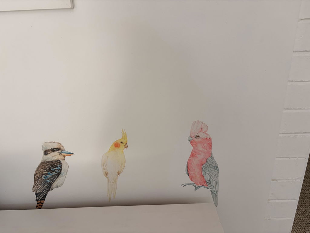 Cockatiel, Kookaburra & Galah Wall Decals