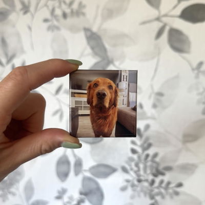Kind Titan Press magnet review photo
