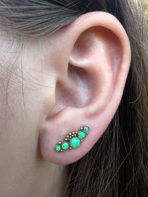 Up The Ear Earrings Surgical Steel