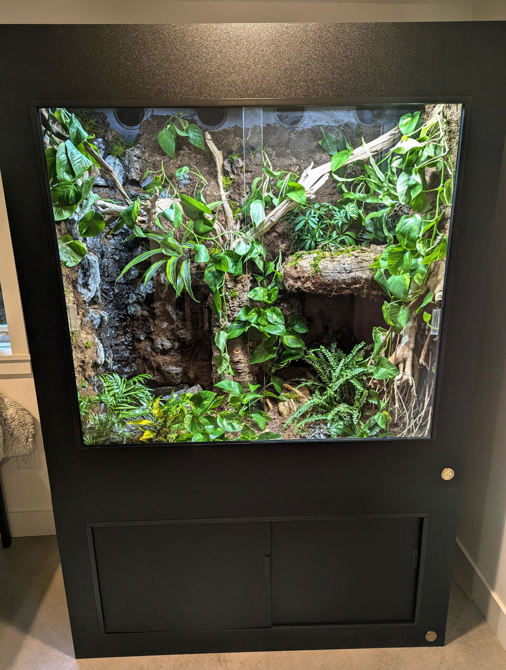 4'x2'x4' | Premium HDPE-PVC Arboreal Reptile Enclosure | 4-Foot-Tall Luxury Reptile Cage