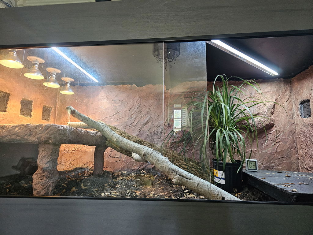 s-TEGU-saurus Sanctuary | 8'x4'x4' Reptile Enclosure | Premium HDPE-PVC Reptile Enclosure |