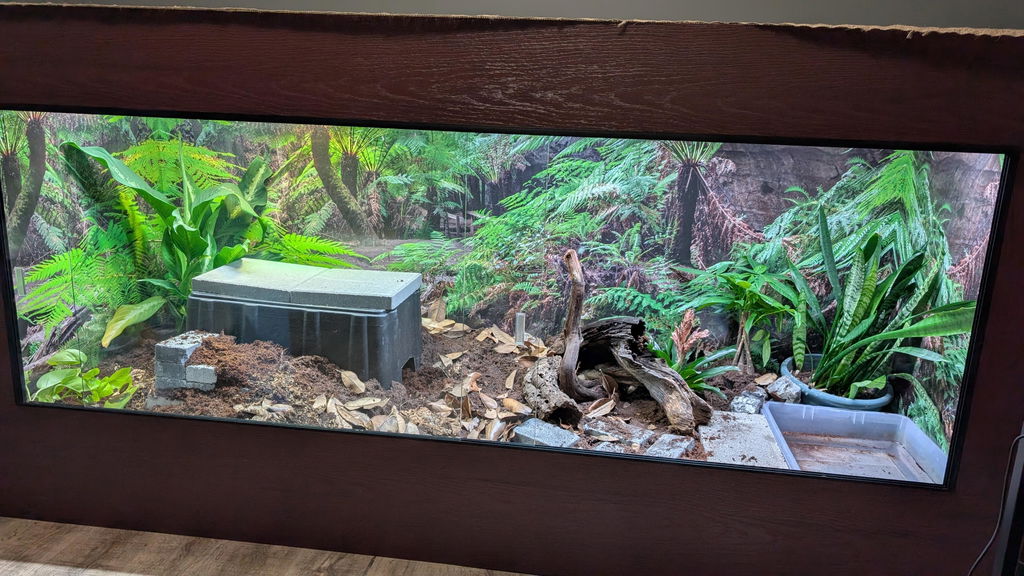 8'x3'x4' | Custom HDPE-PVC Reptile Enclosure | Luxury Reptile Cage