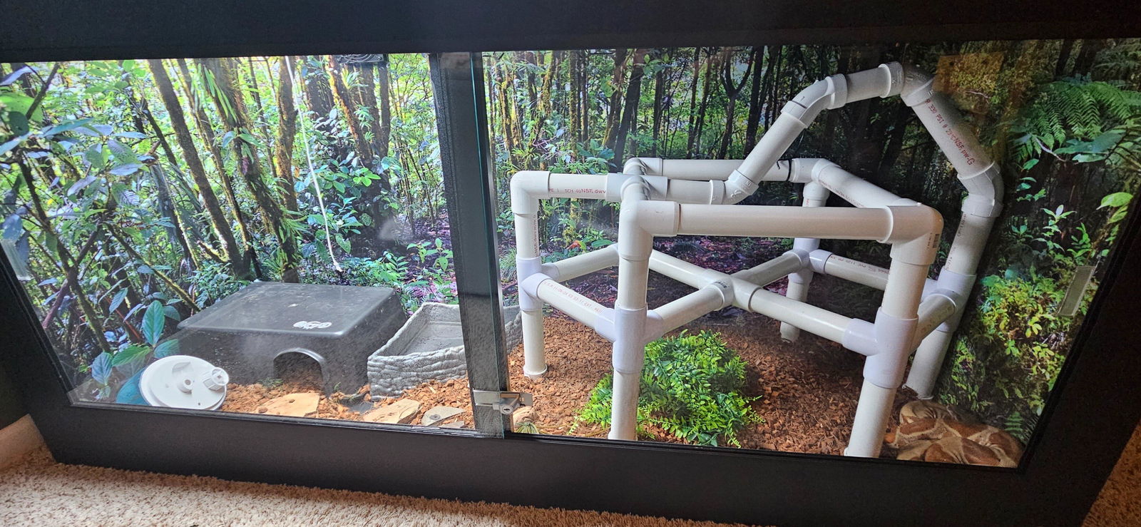 6'x2'x3' Reptile Enclosure | ToadRanchCages.com – Toad Ranch