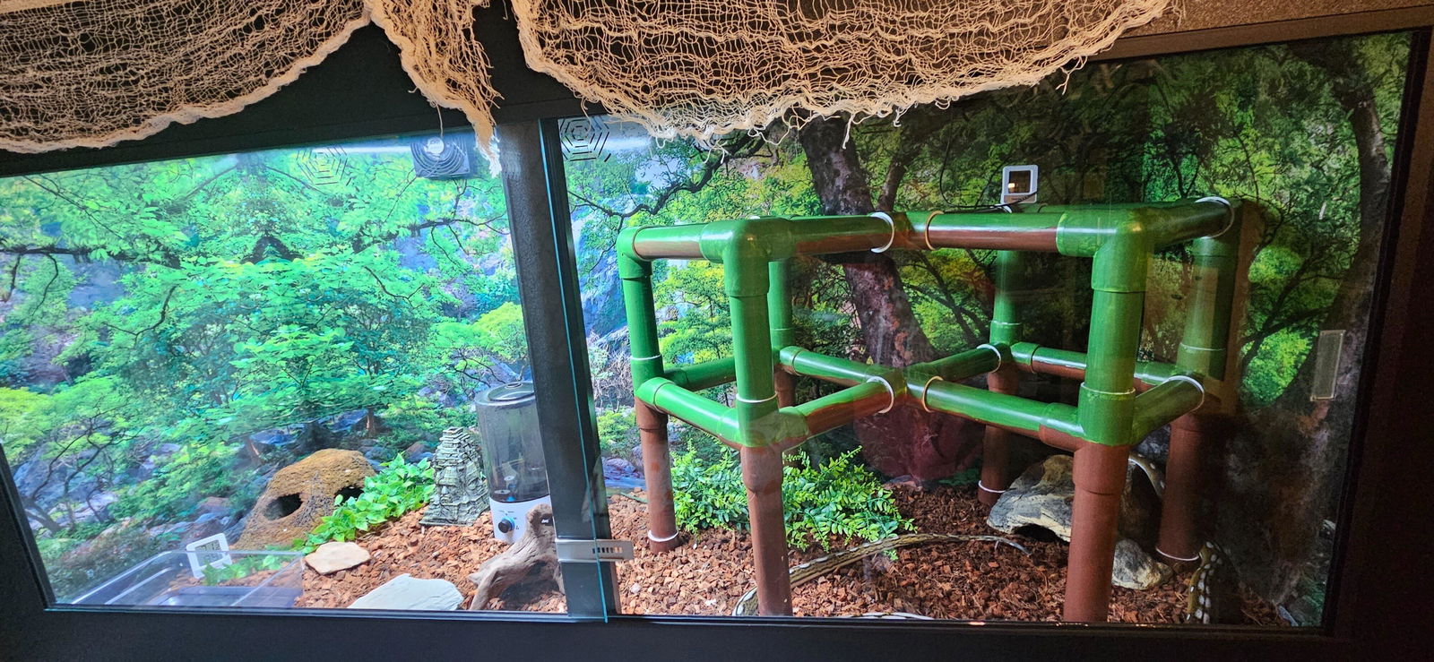 6'x2'x3' Reptile Enclosure | ToadRanchCages.com – Toad Ranch