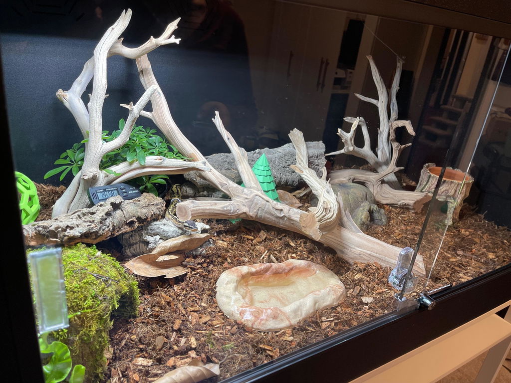 Ready Ship | 4'x2'x2' Premium Reptile Enclosure | Solid Top Panel
