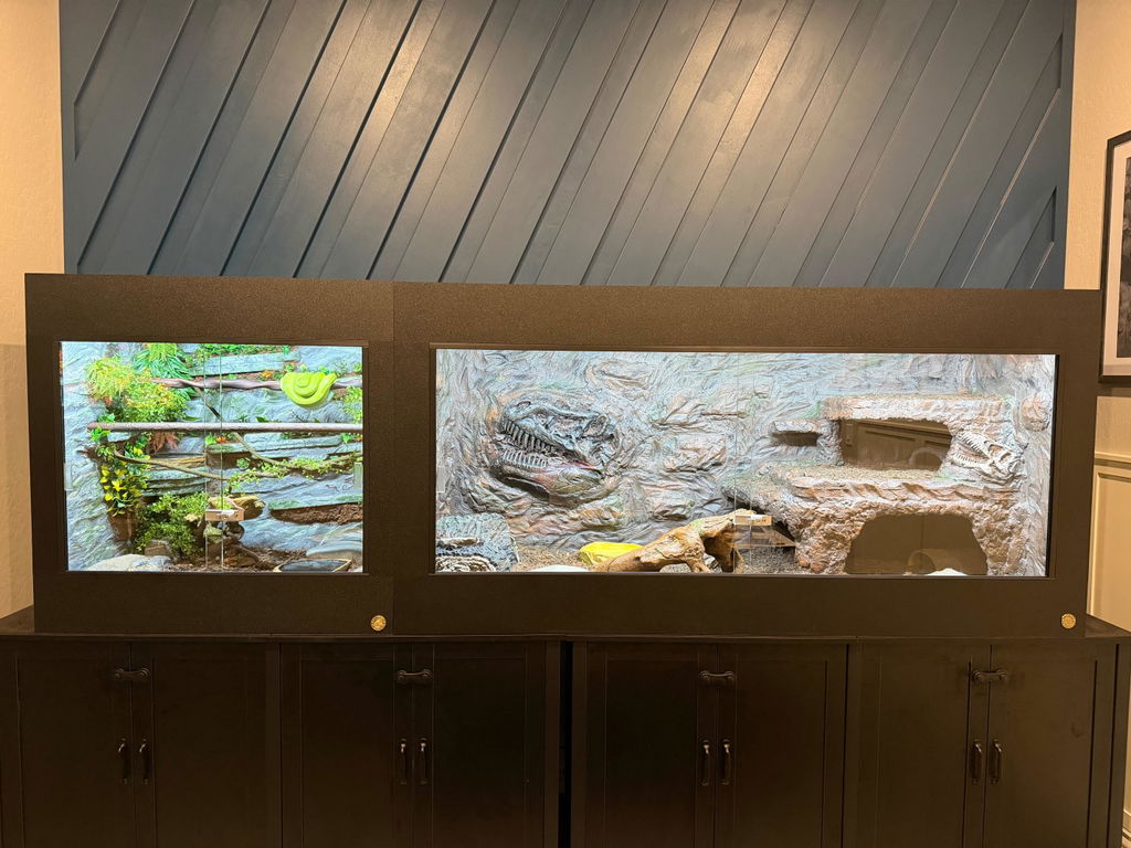 6'x2'x3' Reptile Enclosure | ToadRanchCages.com – Toad Ranch