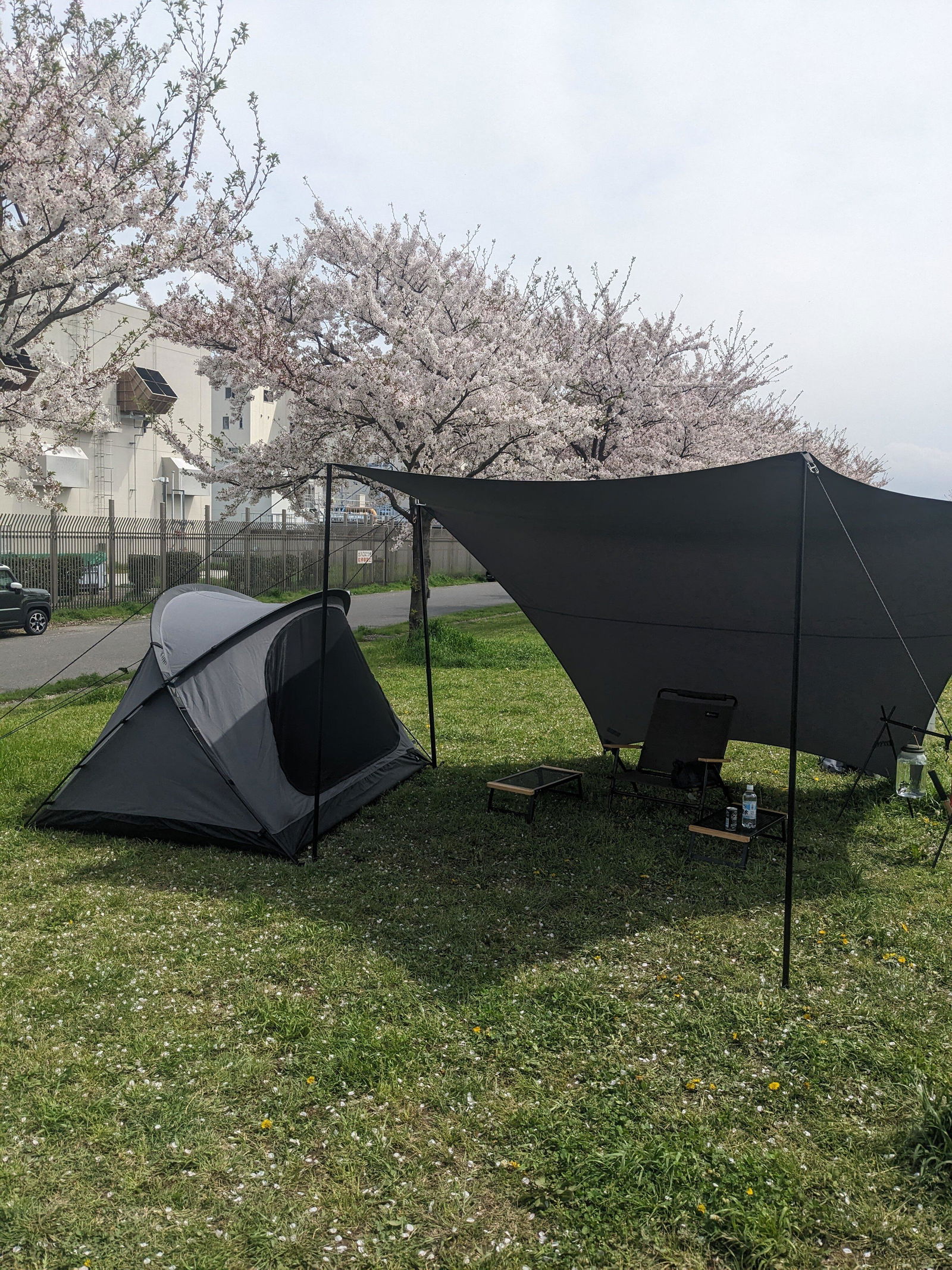 Canopy Pole 190 (for tarps & tents) — TOKYO CRAFTS Official