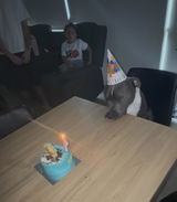 Pawtrait Cake