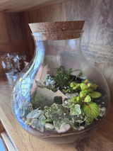 Closed Terrarium Kit H: 24 cm | 'Calgary'