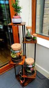 Closed DIY Terrarium Kit with 25 cm Container and Plants | 'Mallorca'