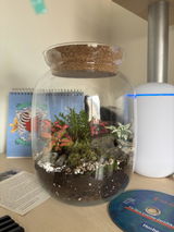 Terrarium Workshop - Various Dates 2026