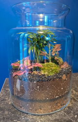 Glass Terrarium 25 cm with Cork Lid  | Handmade