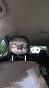 Customer-submitted headrest cover photo from Robert Williams