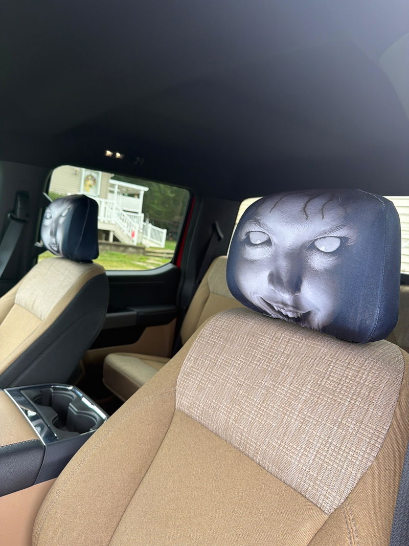 Customer-submitted headrest cover photo from Dan B