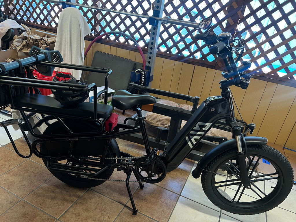 TST® Carrier 20'' Cargo Electric Bike