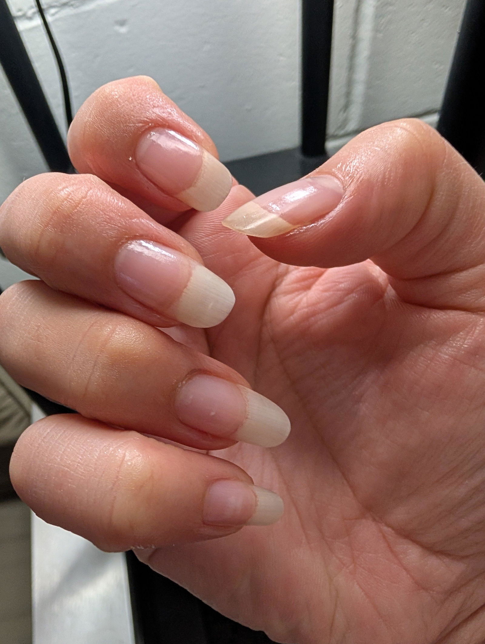 Nail Honey Hive – Twinkled T