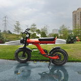 JANSNO X90-Y 16" Off-Road E-Bike 750W Motor 48V 25Ah Battery