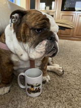 User picture