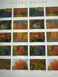 Review picture