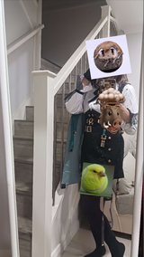 User picture