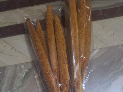 Sival Dried Millet Stick (MultiColor) - Set Of Ten