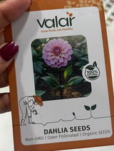 Dahlia Seeds