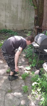 User picture