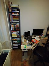 User picture