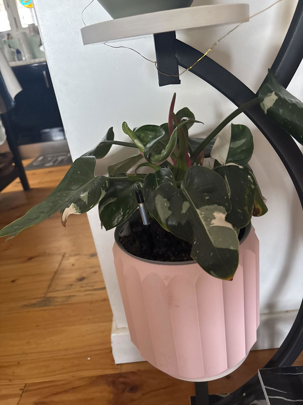 Cressa Planter