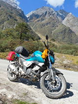 User picture