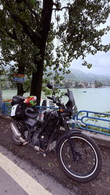 User picture