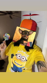 User picture