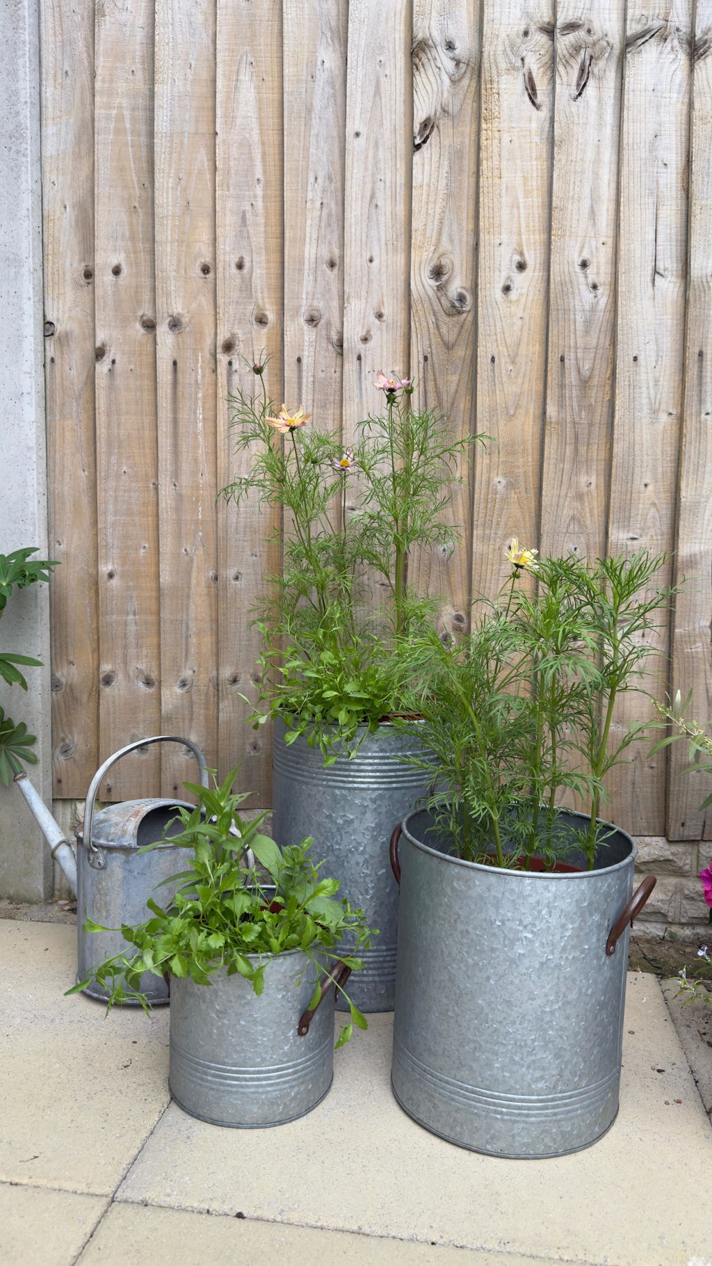 Galvanised Tub Planters with Handles - Set of 2