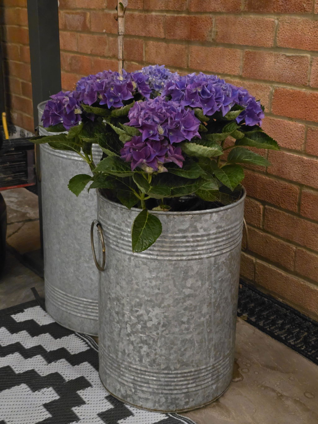 Galvanised Barrel Planters - Set of 3