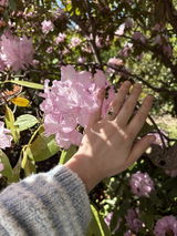 Vinny & Charles
