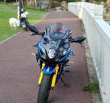 User picture