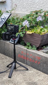 User picture