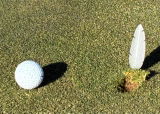Single Prong Feather Divot Tool