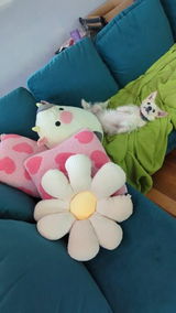 Blossoming Kawaii Flower Plushies