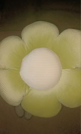 Blossoming Kawaii Flower Plushies
